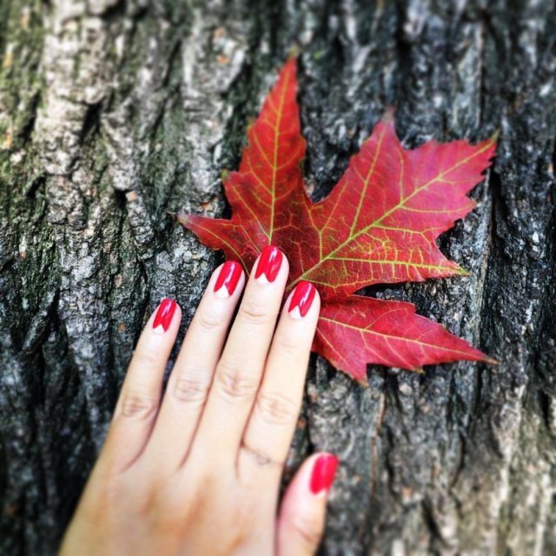 Tendencias manicura otoño 2014