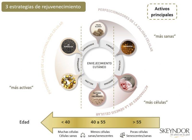 Tratamiento Antiedad Global, Timeless Prodigy