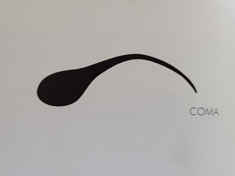 Tipos de cejas y cómo llevarlas a la última. Cosmética Roger