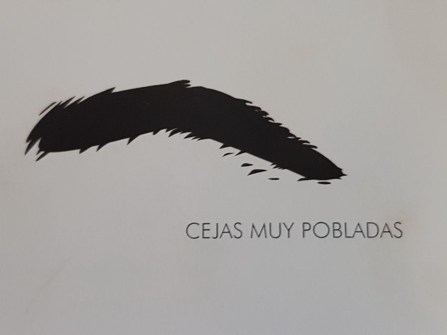 Tipos de cejas y cómo llevarlas a la última. Cosmética Roger