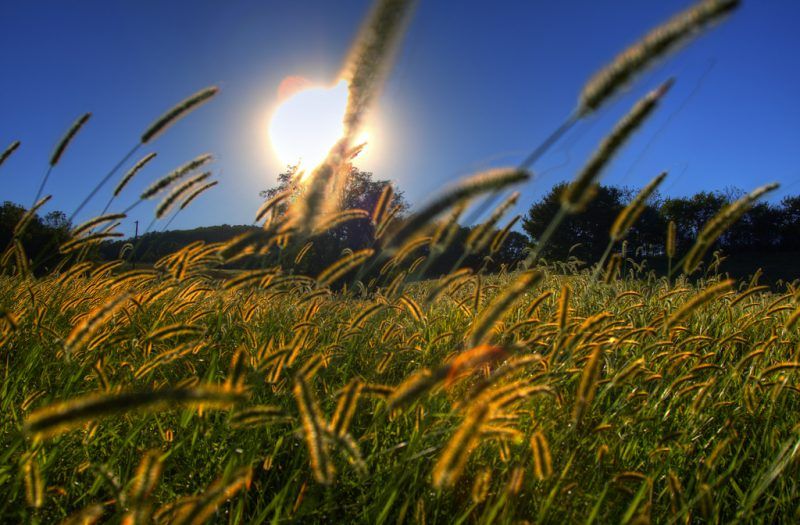 El sol y sus efectos