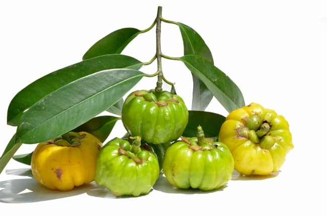 REDUsize producto natural. Cosmética Roger